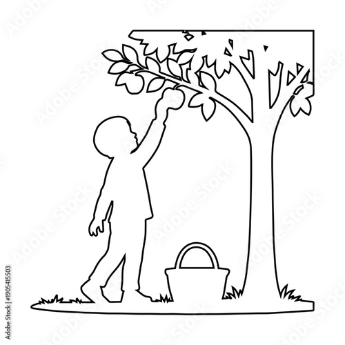 boy picking fruit from tree outline ouette picnic scene isolated on white background