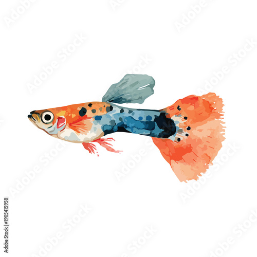 Vibrant Guppy Fish Vector Illustration Colorful Tropical Aquarium Pet.