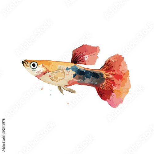 Vibrant Guppy Fish Watercolor Illustration Tropical Aquarium Fish Art.