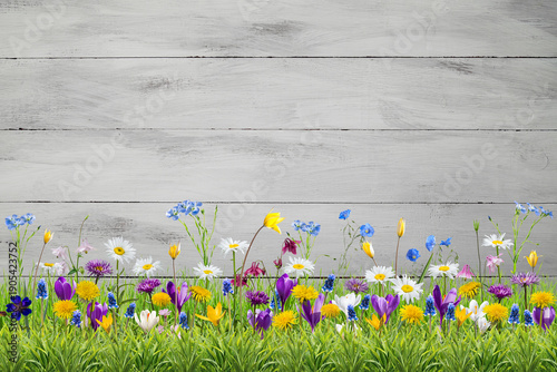 Spring floral wallpaper with different wild flowers in green grass