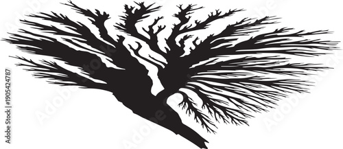 Black Silhouette of a Tree with Bare Branches Isolated