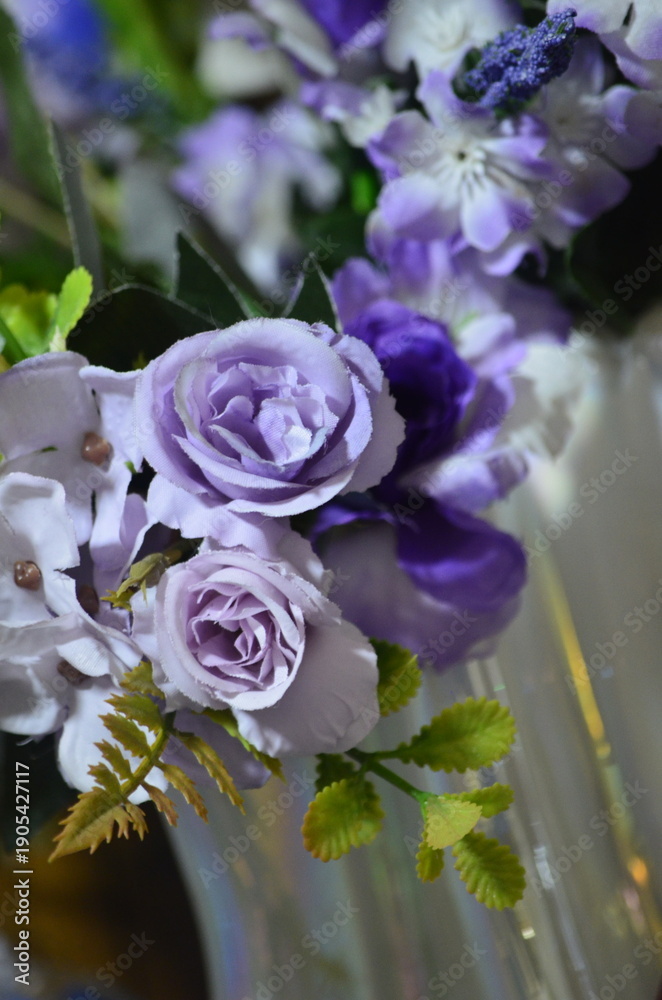 Fototapeta premium pink rose flower