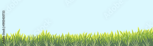 Lush Green Grass Under a Bright Blue Sky