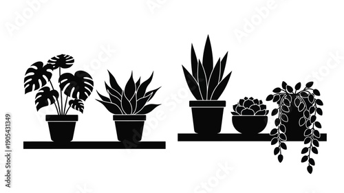 Black and white potted plants displayed on a shelf silhouette