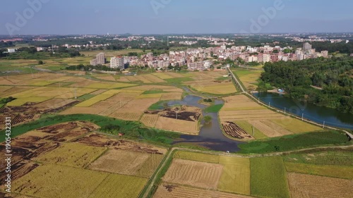 Aerial View of Rice Fields, River and Rural Town