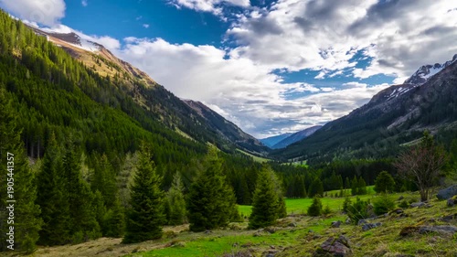 Alpine Mountain Valley with Pine Forest and Clouds