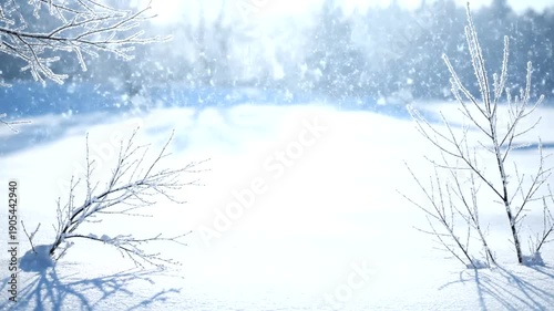 Beautiful Winter Snowfall Scene with Frosty Trees and Bright Sunlight.