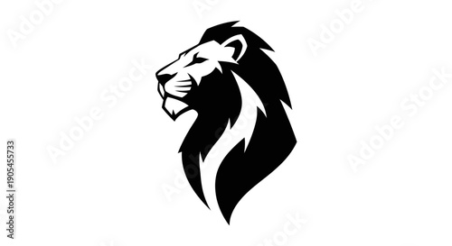Lion silhouette illustration on white background