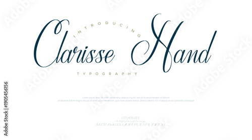 signature Font Calligraphy Logotype Script Brush Font Type Font lettering handwritten
