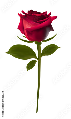 A single beautiful long stem red rose with green leaves.