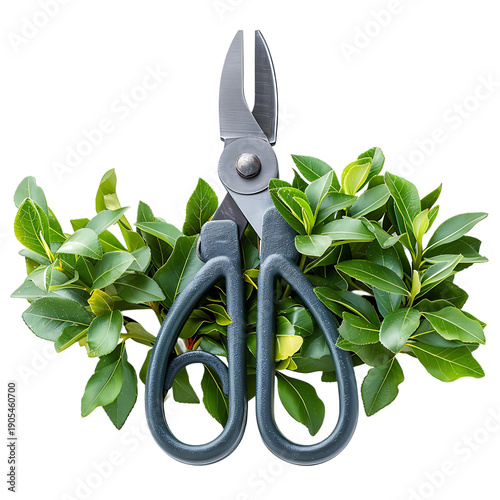 Hedge Clippers Manual Isolated On Transparent Background