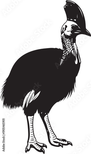 Silhouette of a cassowary a large flightless bird