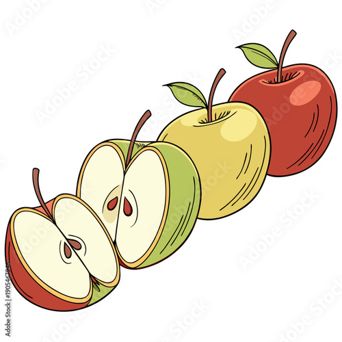 Variety of Apples: Whole, Sliced, and Outline Illustrations Set
Healthy Fruit Collection: Red, Green, and Yellow Apples
Fresh Apples: Detailed and Stylized Vector Illustrations
Nutrition and Diet: Ass