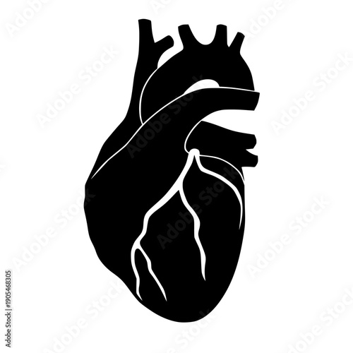vector illustration of human internal organs in the form of the heart