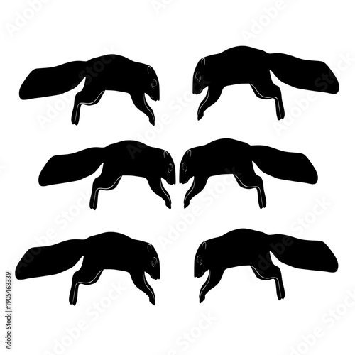 squirrel mammal animal vector silhouette illustration