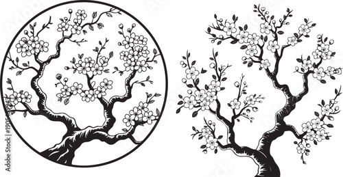 Japanese Cherry Blossom Sakura Tree Branch Traditional Asian Ink Vector Illustration