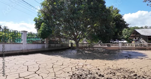 Dry cracked earth with a tree in the center surrounded by a fence.