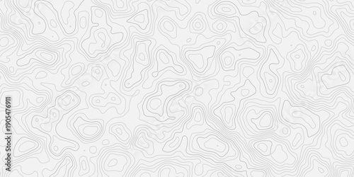 Smooth Flowing Topographic Map Pattern Featuring Elegant Paper Layer Relief Structure and Abstract Terrain Elevation Design
Modern Minimal Landscape Contour Line Illustration with Premium White Tex