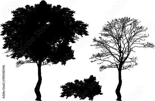 Silhouette of various trees set, including leafy deciduous trees and dead bare branches. Isolated on white background vector illustration.