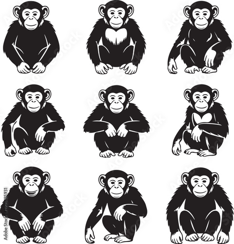 monkey poses illustrations set