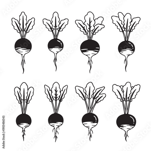 Beetroot pattern illustration, fresh root vegetable with leaves, isolated on white background