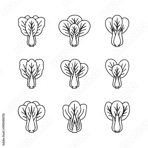 Bok Choy Vegetable Icons Line Art Set Isolated on White Background