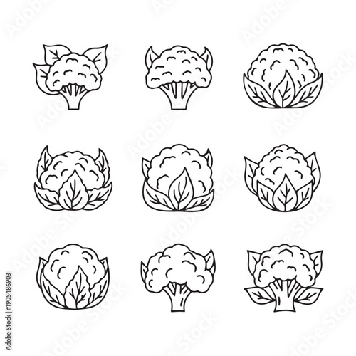 Cauliflower and Broccoli Icons with Leaves, Line Art, Isolated