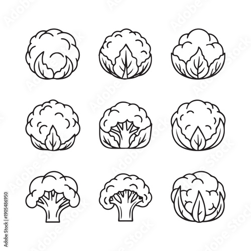 Cauliflower and Broccoli Line Art Icons: Whole and Halved Vegetables