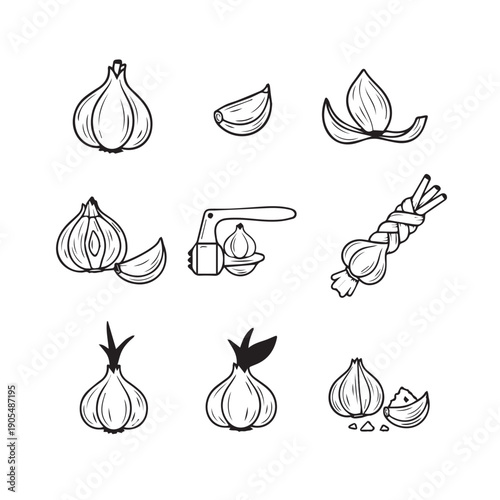 Garlic Collection Icons: Whole, Cloves, Garlic Press, Braided Bunch