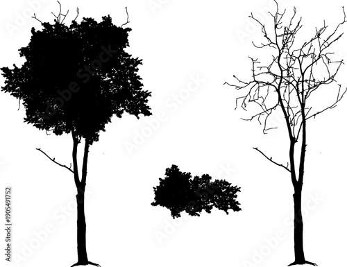 Silhouette of various trees set, including leafy deciduous trees and dead bare branches. Isolated on white background vector illustration.