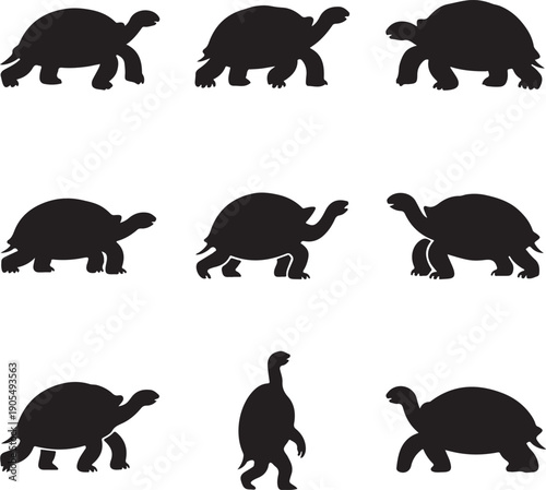 turtle silhouettes in different poses and movements  various black turtle shapes