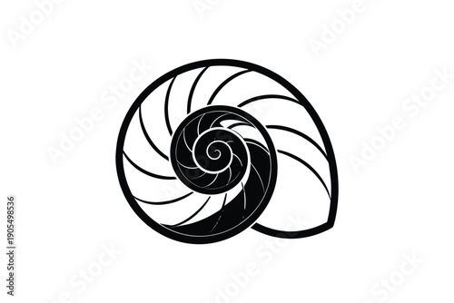Nautilus shell spiral silhouette stylized ocean mollusk shell pattern marine life decorative nature element