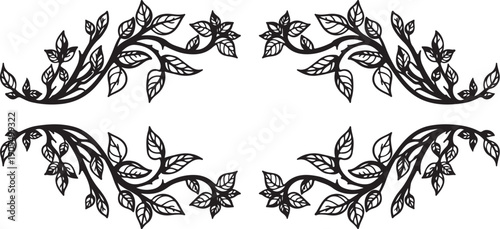 Floral Frame Ornament Vector Bundle