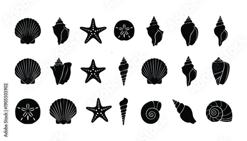 Coastal marine shell silhouette illustration pack for nautical and beach design