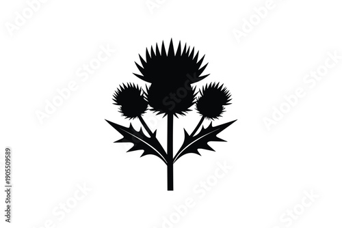 Black silhouette of thistle flower with spiky leaves and three flower heads isolated on white background
