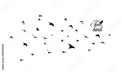 Flying birds silhouette flock. hand drawing. Not AI. Vector illustration
