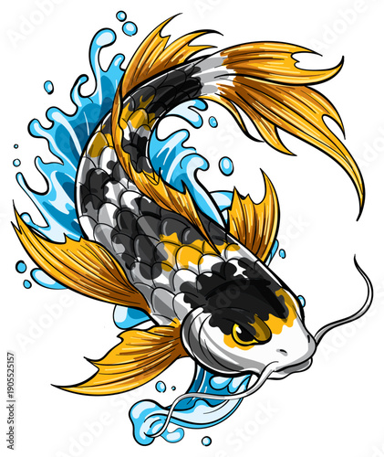 carp japan koi