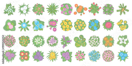 Top view of bushes of garden flowers. View from above. Collection for landscape design, plan, maps. Aerial. Park design. 
