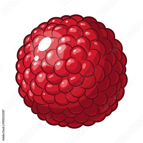 Isolated Red Raspberry Berry