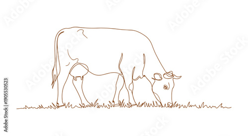 A continuous line art drawing of a cow in a pasture. This minimalist sketch features a colored linear representation of a grazing cow, isolated on a white background. Vector illustration.