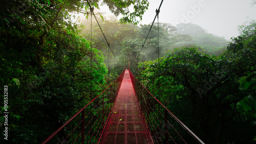Red long suspension bridge through the treetops of Monteverde Cloud Forest Reserve in Costa Rica