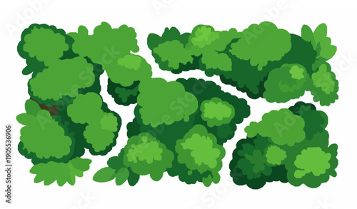 Rainforest jungle canopy aerial vector illustration with lush green foliage isolated on white background