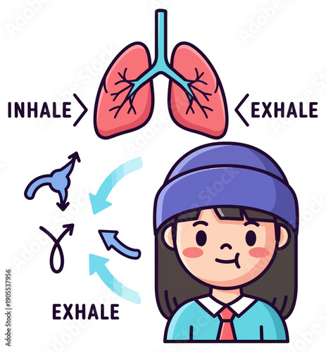 Breathing Exercise Diagram Lungs Inhale Exhale Respiratory System Health