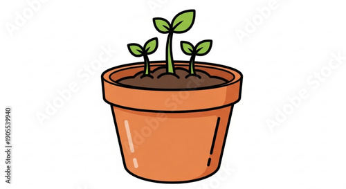 Young seedlings growing in a small terracotta pot with green leaves and brown soil against a white background
