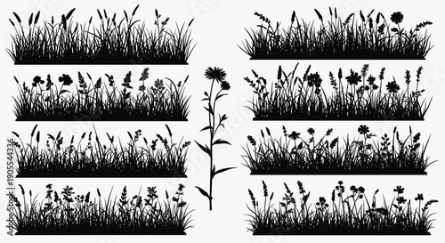 Set of Black Grass and Meadow Plant Silhouettes