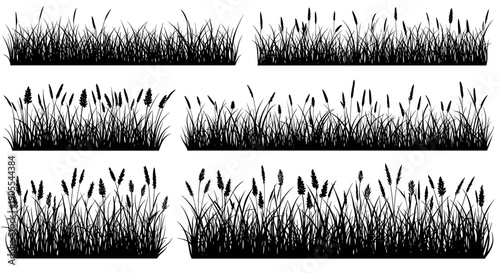 Various Wild Grass and Reed Plant Silhouette Borders