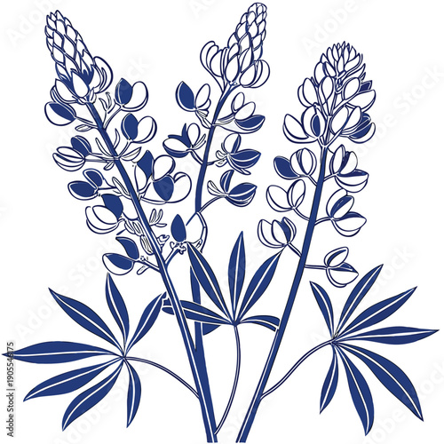 Quadro su tela bluebonnets vector