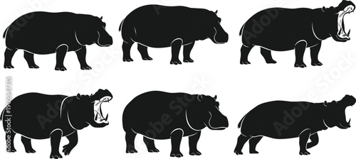 Black hippopotamus silhouette vector set, hippo standing and yawning with open mouth, wild animal icons isolated on white background, nature graphics.