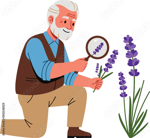Elderly Man Examining Lavender with Magnifying Glass.
