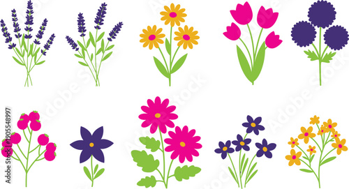 Colorful illustration of various flowers including lavender sunflowers tulips and daisies on white background